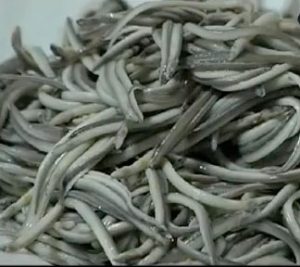 angules