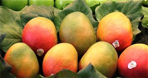 mangos
