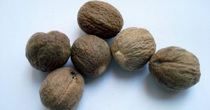 nou moscada, producte, article gastronomia