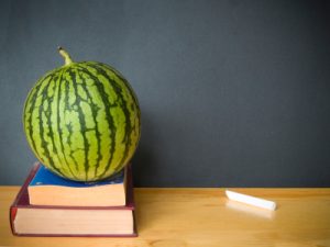 La síndria i la literatura, article