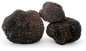 tofona negra