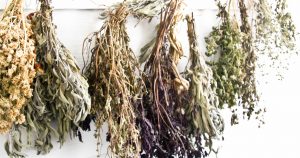 Com assecar herbes aromàtiques